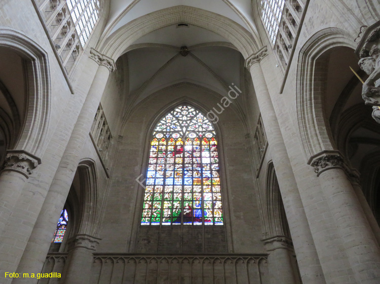 BRUSELAS (337) Catedral de San Miguel y Santa Gudula