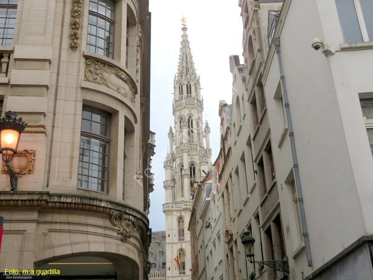 BRUSELAS (355) Rue Chair et Pain