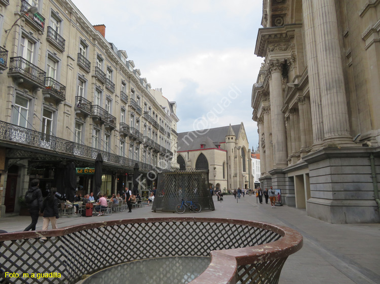 BRUSELAS (375) Rue de la Bourse