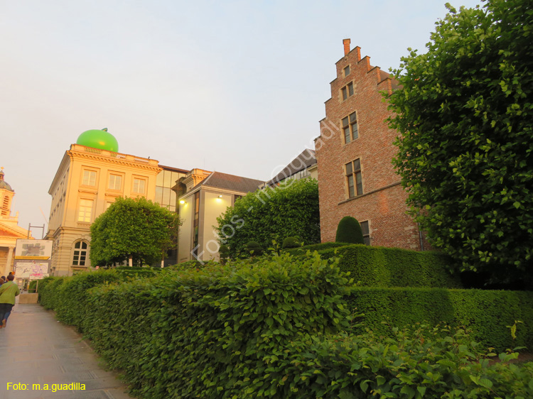 BRUSELAS (411)  cl Koudenberg