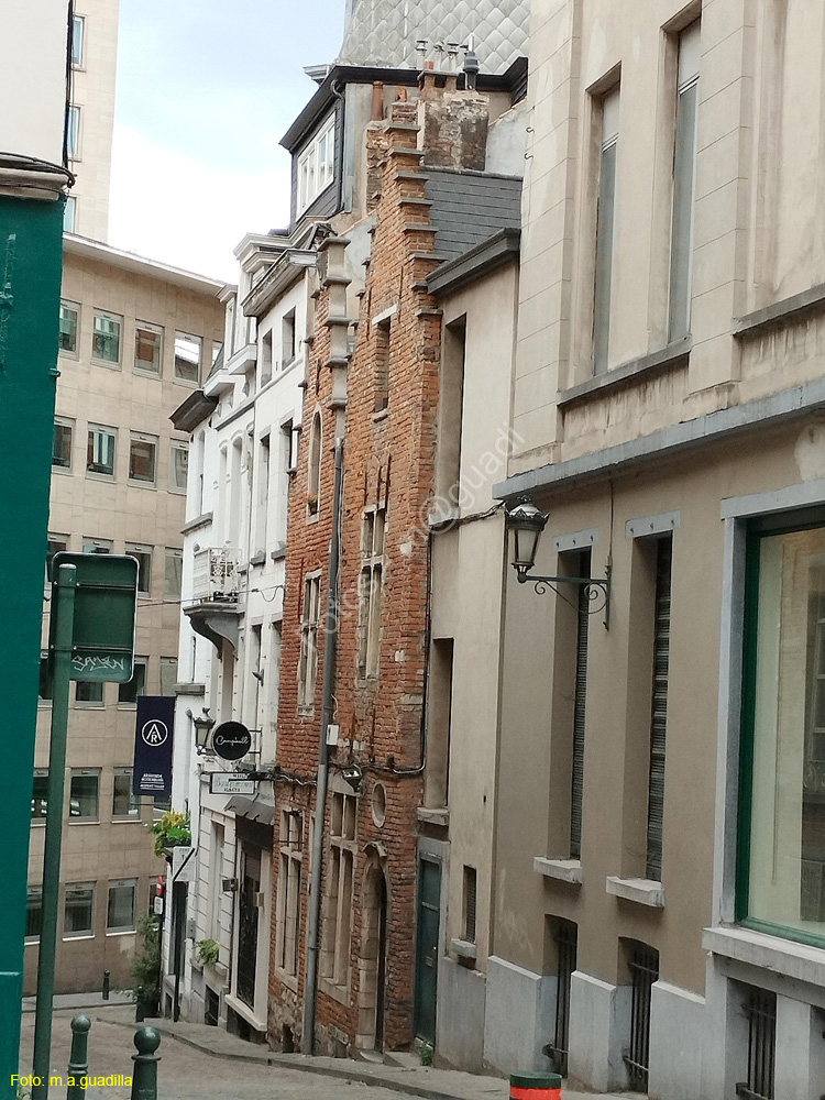 BRUSELAS (448) Rue des Pigeons