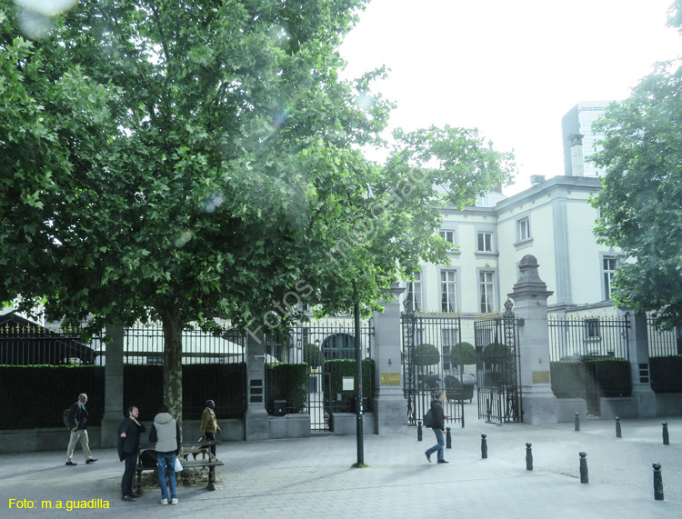 BRUSELAS (449)