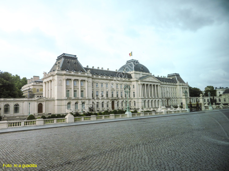 BRUSELAS (452) Palacio Real