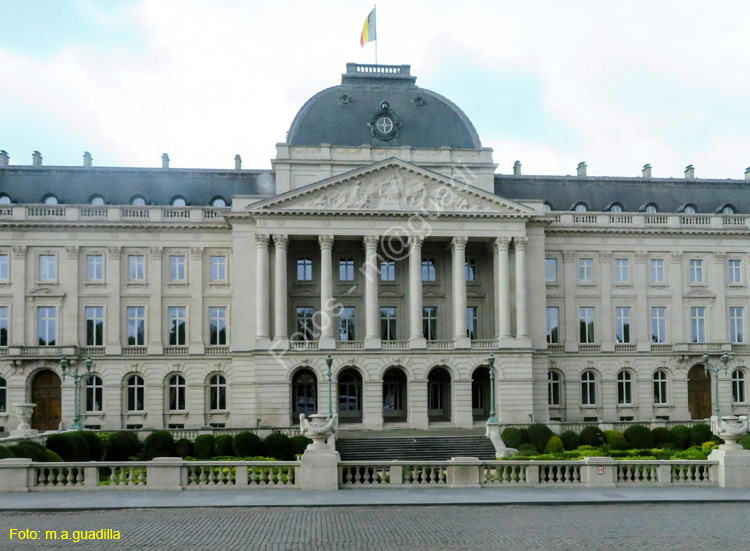 BRUSELAS (454) Palacio Real