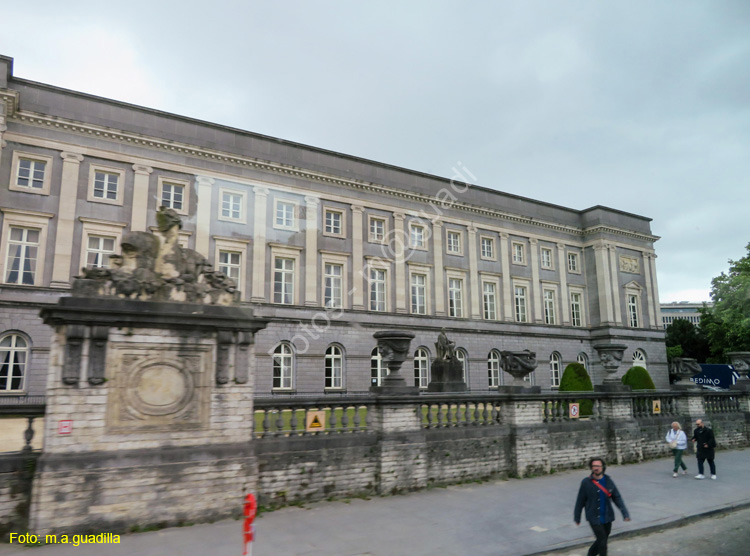BRUSELAS (457) Palacio Real