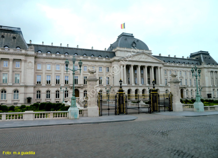 BRUSELAS (458) Palacio Real