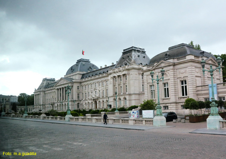 BRUSELAS (460) Palacio Real
