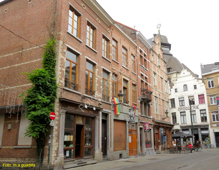 BRUSELAS (496) Rue des Grands Carmes