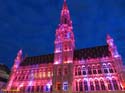 BRUSELAS (219) Grand Place