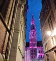 BRUSELAS (223) Grand Place