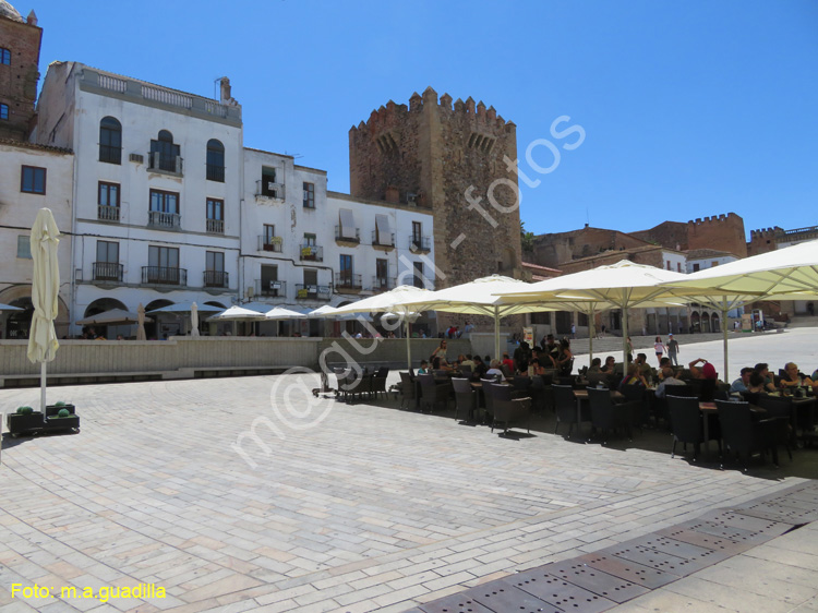 CACERES (115)