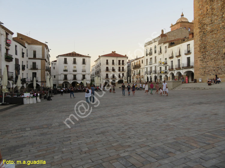 CACERES (263)