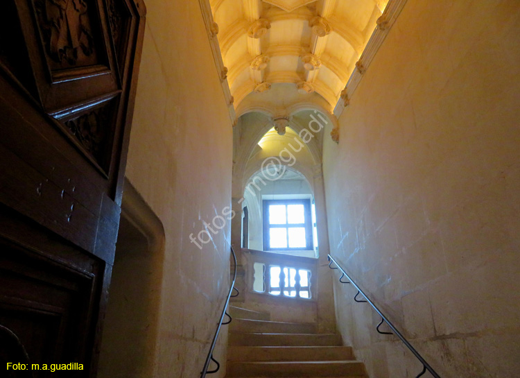 CHENONCEAU (154) Castillo