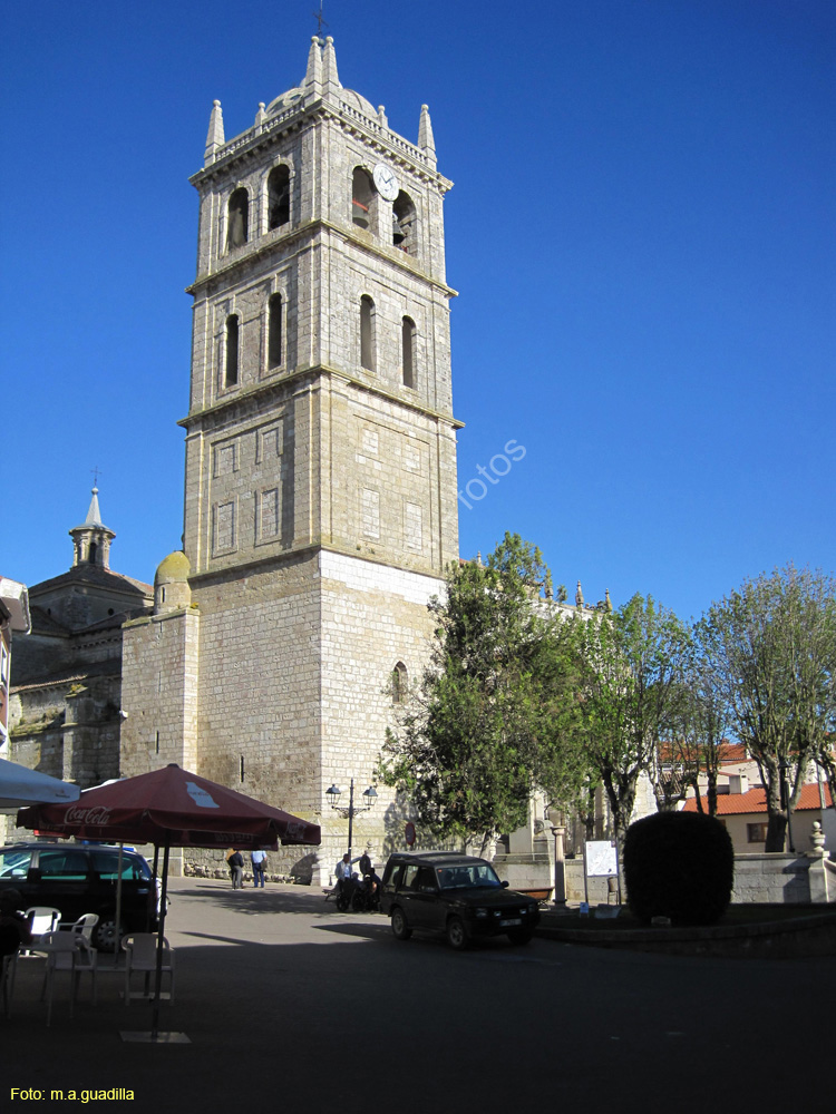 Dueñas (158) Iglesia de Santa Maria de la Asuncion