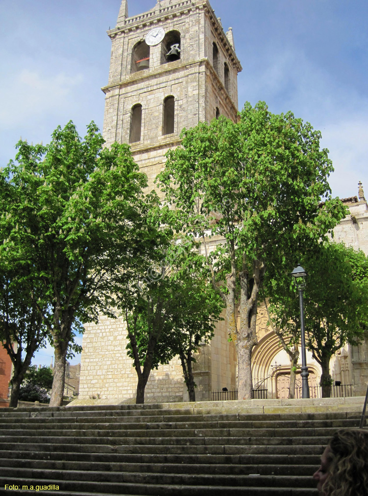 Dueñas (177) Iglesia de Santa Maria de la Asuncion