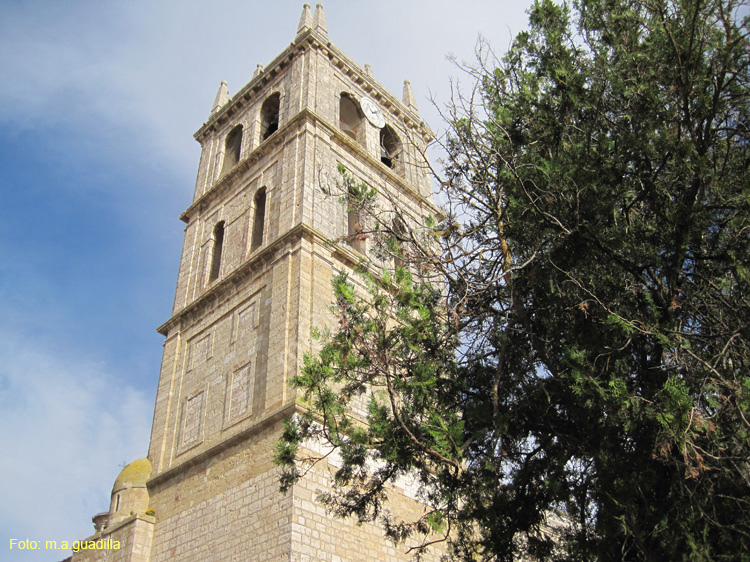 Dueñas (179) Iglesia de Santa Maria de la Asuncion