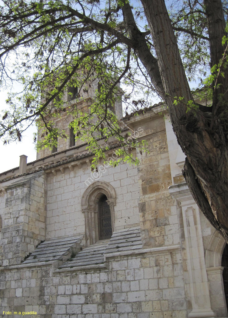 Dueñas (183) Iglesia de Santa Maria de la Asuncion