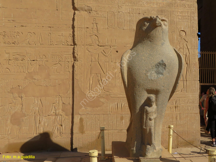 EDFU (109) Templo de Horus