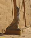 EDFU (110) Templo de Horus