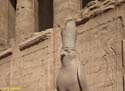 EDFU (117) Templo de Horus