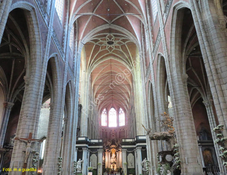 GANTE (128) Catedral de San Bavon