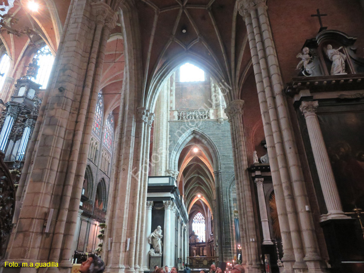 GANTE (138) Catedral de San Bavon