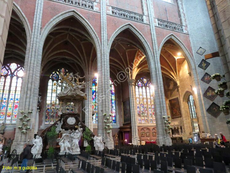 GANTE (146) Catedral de San Bavon