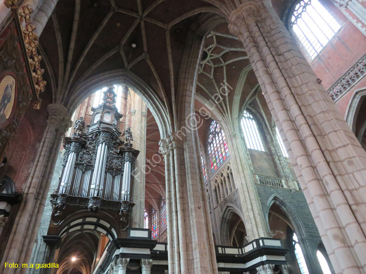 GANTE (148) Catedral de San Bavon