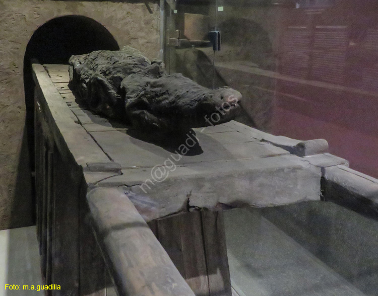 KOM OMBO (150) Museo de cocodrilos