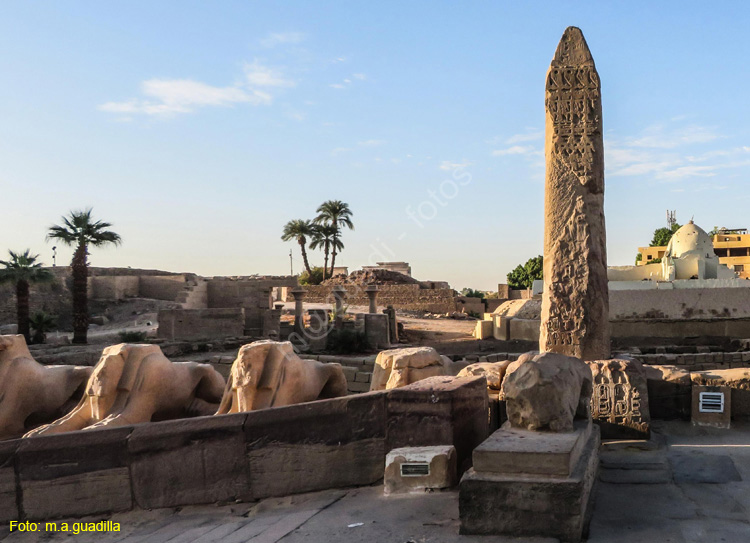 LUXOR (110) Templo de Karnak