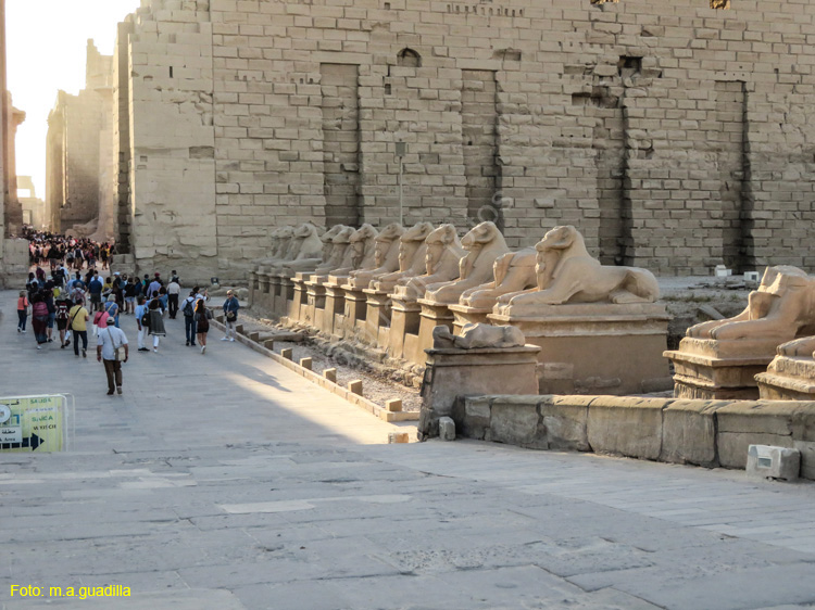 LUXOR (112) Templo de Karnak