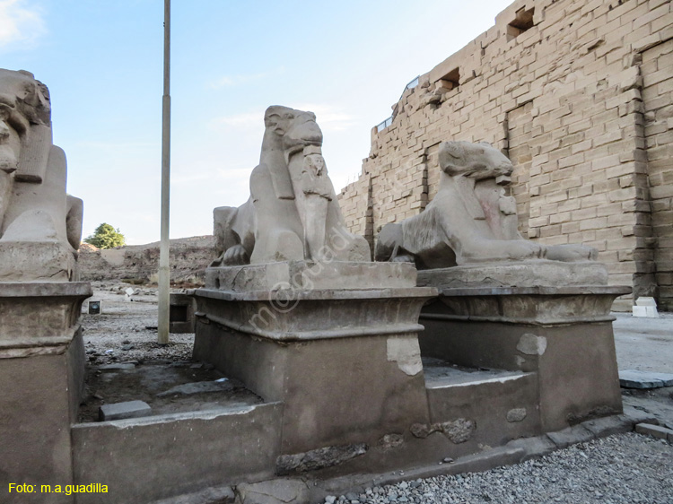 LUXOR (117) Templo de Karnak