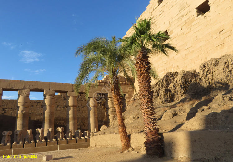 LUXOR (122) Templo de Karnak
