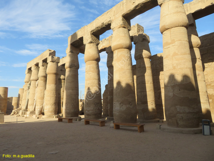 LUXOR (157) Templo de Luxor