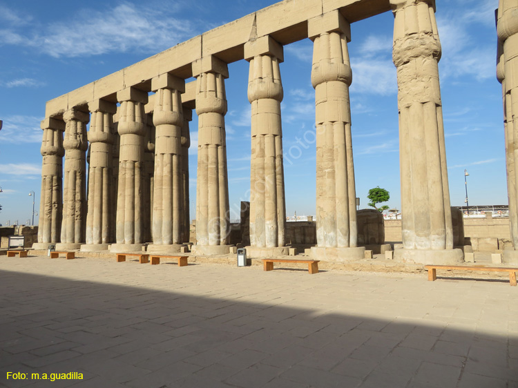 LUXOR (172) Templo de Luxor