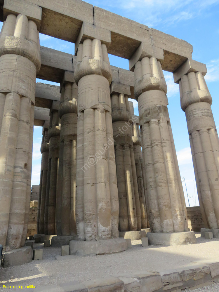 LUXOR (173) Templo de Luxor
