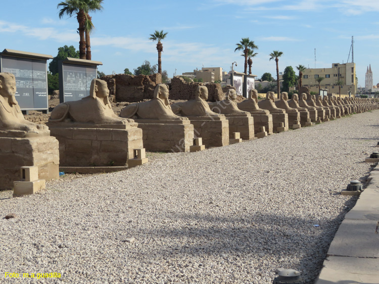 LUXOR (190) Templo de Luxor