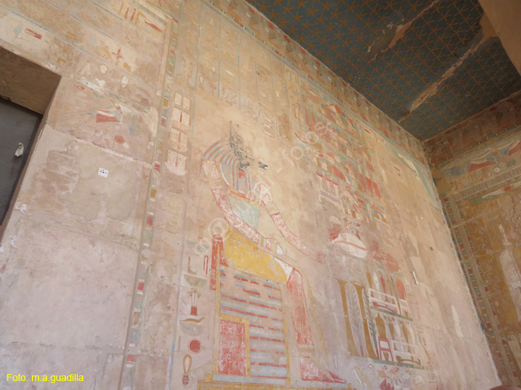 LUXOR (247) VALLE DE LOS REYES Templo de Hatshepsut