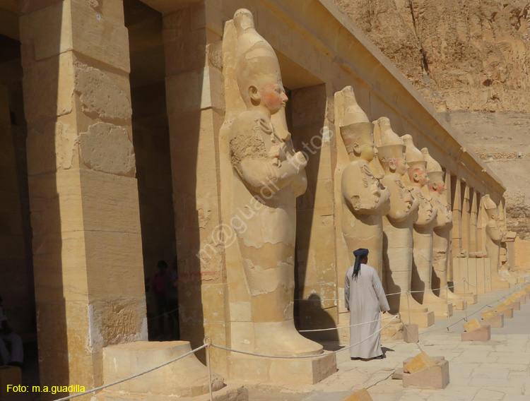 LUXOR (261) VALLE DE LOS REYES Templo de Hatshepsut