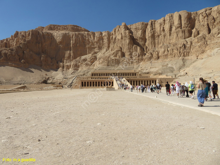 LUXOR (262) VALLE DE LOS REYES Templo de Hatshepsut