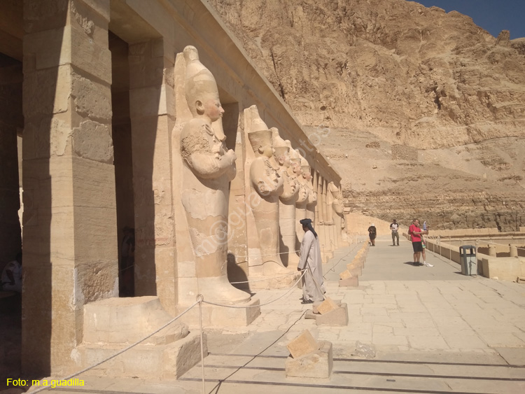 LUXOR (266) VALLE DE LOS REYES Templo de Hatshepsut