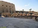 LUXOR (109) Templo de Karnak