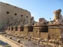 LUXOR (115) Templo de Karnak