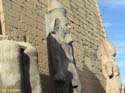 LUXOR (151) Templo de Luxor