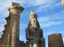 LUXOR (165) Templo de Luxor