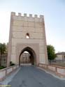 MADRIGAL DE LAS ALTAS TORRES (223) Puerta de Arevalo