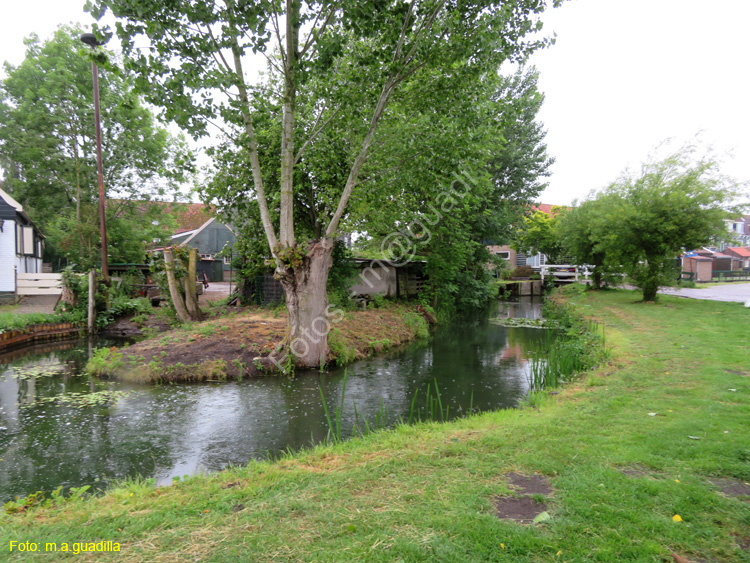 MARKEN (101)