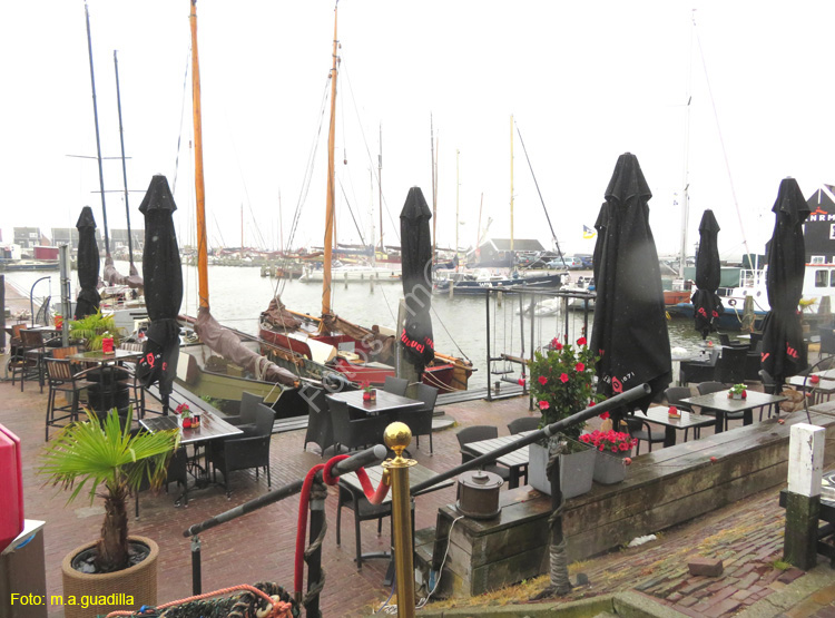 MARKEN (118)