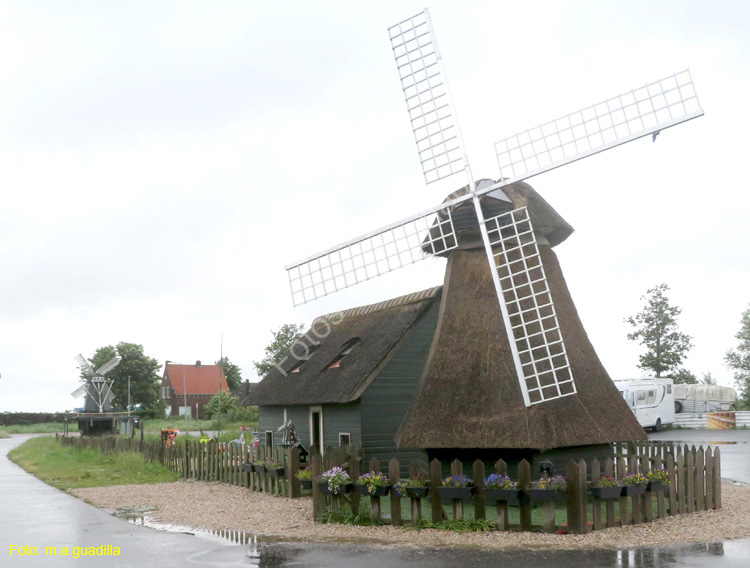 MARKEN (131)