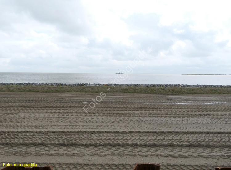 MARKEN (136)